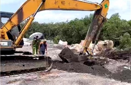 Nghị quyết về dự án sửa đổi của Pháp lệnh Cảnh sát môi trường