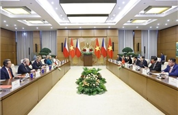 Chủ tịch Quốc hội hội đàm với Chủ tịch Thượng viện Quốc hội Cộng hòa Séc