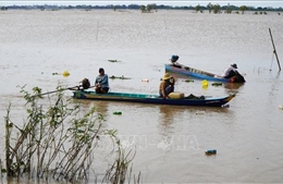 Tất bật đánh bắt thủy sản cuối mùa nước nổi