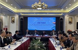 Bảo vệ môi trường biển tạo dựng nền tảng cho phát triển kinh tế biển bền vững