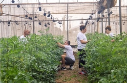 Israel và Mỹ ký thỏa thuận nông nghiệp lịch sử