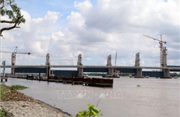 Cảnh báo ngập lụt do triều cường khu vực sông Cái Lớn, Cái Bé và hạ lưu sông Hậu