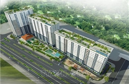 Bắc Ninh xử lý hàng loạt trường hợp mua nhà ở xã hội sai đối tượng