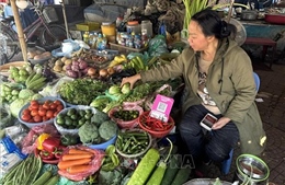 Giá rau xanh hạ nhiệt