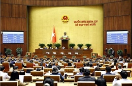 Từ 1/7/2026, siết quản lý livestream bán hàng và định danh người bán trên nền tảng số