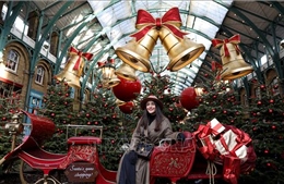 Những tập tục Giáng sinh độc nhất vô nhị