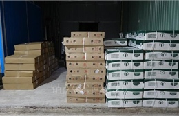 Phát hiện hơn 15 tấn thịt, nội tạng động vật đông lạnh không rõ nguồn gốc