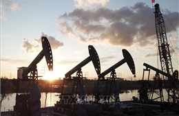 OPEC dự báo về thị trường dầu mỏ toàn cầu năm 2026