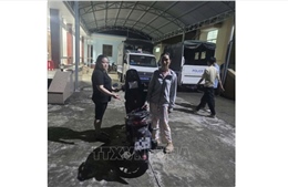 Bắt giữ hai người phụ nữ cạy két sắt, lấy trộm tài sản