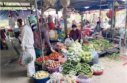Giá rau củ tại Khánh Hòa đã dần hạ nhiệt