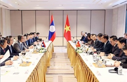 Tham vấn chính trị cấp bộ trưởng ngoại giao Việt Nam - Lào lần thứ 12