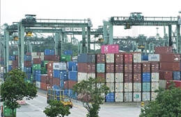 Kim ngạch xuất nhập khẩu Việt Nam - Singapore tiếp tục đà tăng trưởng kỷ lục