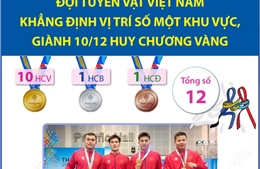 Đội tuyển Vật Việt Nam khẳng định vị trí số một khu vực, giành 10/12 Huy chương Vàng