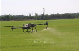 Nghị quyết 57-NQ/TW: Tăng giá trị sản phẩm nông nghiệp từ chuyển đổi số