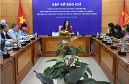 Tạo nền tảng chính sách về công tác người Việt Nam ở nước ngoài trong giai đoạn mới