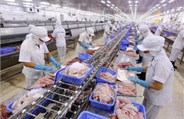 Theo dòng thời sự: Lá phiếu tín nhiệm cho Việt Nam