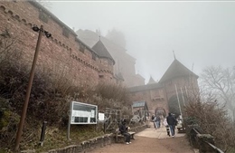 Lâu đài Haut-Koenigsbourg - vẻ đẹp hùng vĩ giữa mùa đông Alsace