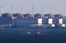 IAEA cảnh báo an toàn điện hạt nhân tại Ukraine