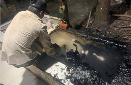 Xử lý điểm giết mổ sử dụng chất hỗ trợ không rõ nguồn gốc