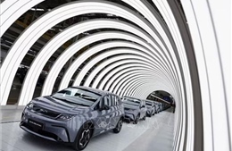 BYD sắp vượt Tesla về doanh số bán xe điện vào năm 2025