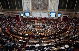 Pháp nặng gánh nợ công với đạo luật ngân sách tạm thời
