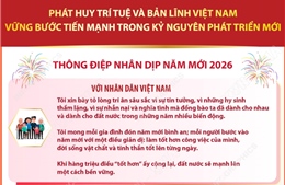 Những thông điệp nhân dịp năm mới 2026 trong bài trả lời phỏng vấn TTXVN của Tổng Bí thư Tô Lâm