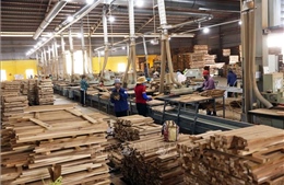 Hoa Kỳ hoãn tăng thuế gỗ theo Mục 232: Không gắn với phán quyết về thuế đối ứng