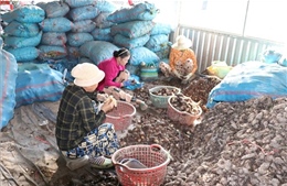 Nâng giá trị nông sản chủ lực