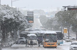 Hàn Quốc: Rét đậm kéo dài làm nhiều người tử vong và nhập viện
