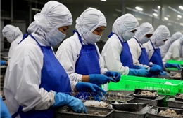 Vốn doanh nghiệp đăng ký bổ sung vào nền kinh tế tăng gần 78%