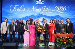 Phát huy vai trò doanh nghiệp thúc đẩy hội nhập hợp tác kinh tế – văn hóa Việt Nam - Đức