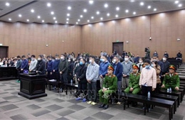 Vụ nhận hối lộ tại Cục An toàn thực phẩm: Làm rõ 'cơ chế ăn chia' tiền của doanh nghiệp