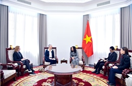 Thúc đẩy hợp tác với Na Uy trong lĩnh vực ứng phó với biến đổi khí hậu