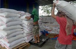 Philippines quay trở lại thị trường gạo quốc tế