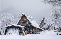 Shirakawago mùa Đông – ngôi làng cổ tích giữa núi rừng Nhật Bản