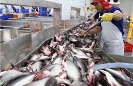 Chuẩn hóa quy tắc xuất xứ AANZFTA, bảo đảm thực thi thống nhất