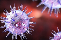 Giải mã cơ chế virus Epstein-Barr gây bệnh đa xơ cứng