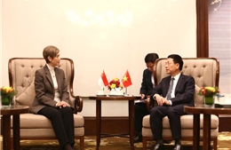Việt Nam - Singapore thúc đẩy hợp tác 5G và quản trị AI trong ASEAN