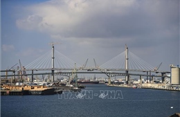 Chênh lệch cung - cầu gây thêm áp lực lên giá cước vận tải biển toàn cầu năm 2026