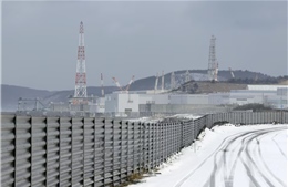 Nhật Bản tái khởi động lò phản ứng hạt nhân đầu tiên kể từ thảm họa Fukushima