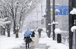 Nhật Bản cảnh báo tuyết rơi dày, đóng một số đoạn cao tốc
