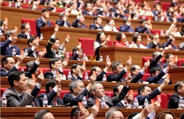 Đại hội XIV của Đảng: Việt Nam khẳng định uy tín quốc tế, hướng tới hòa bình tại Trung Đông