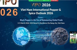 Việt Nam, Ấn Độ thúc đẩy hợp tác trong ngành thực phẩm và đồ uống