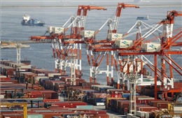 Nhật Bản: Xuất khẩu tăng trưởng bất chấp ảnh hưởng từ thuế quan Mỹ