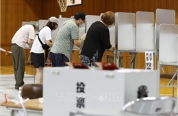 Nhật Bản: Kêu gọi các nền tảng mạng xã hội xóa bỏ thông tin sai lệch về bầu cử