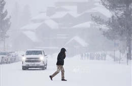 Hơn 175 triệu người Mỹ đối mặt với giá lạnh