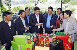 Bắc Ninh tập trung vào 3 đột phá chính nhằm đưa Nghị quyết Đại hội XIV vào cuộc sống