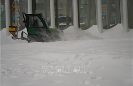 Bão tuyết lịch sử tại Mỹ: Cú sốc toàn diện từ kinh tế đến hạ tầng