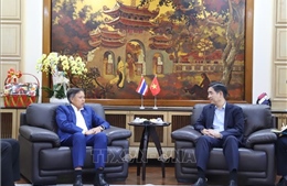 Vạch ra đường hướng chính sách và quyết tâm phát triển rất cao của Việt Nam