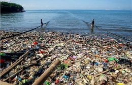 Ô nhiễm vi nhựa tấn công nguồn cá của các quốc đảo Thái Bình Dương